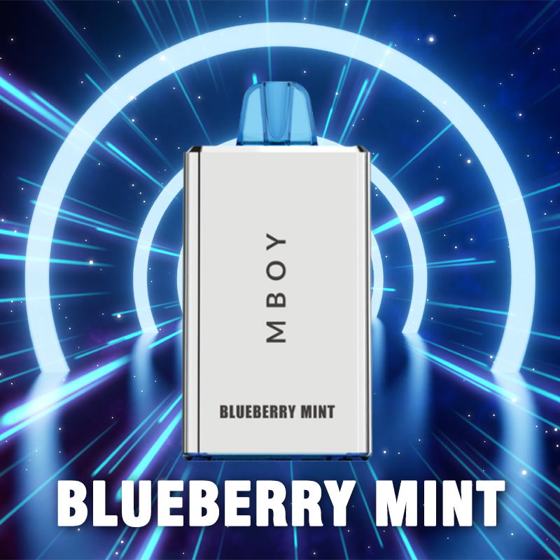 MBOY A5000 Disposable Vape 5000 Puffs 5% Nicotine 12.5ml BLUEBERRY MINT 1pc